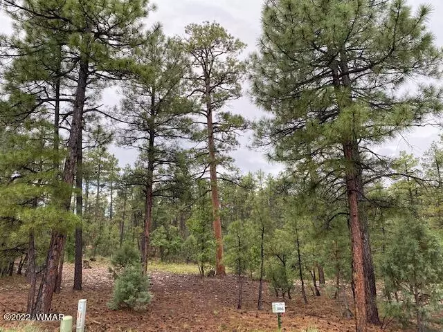 Show Low, AZ 85901,1760 W Sierra Pines Trail