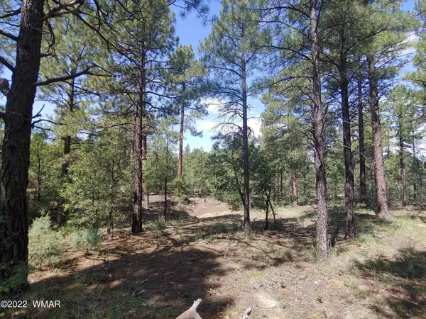 Show Low, AZ 85901,3500 Redbud Lane