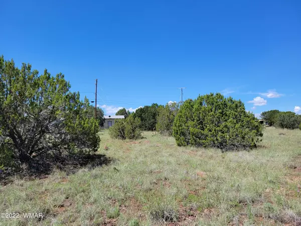 Show Low, AZ 85901,1775 Kruger Place