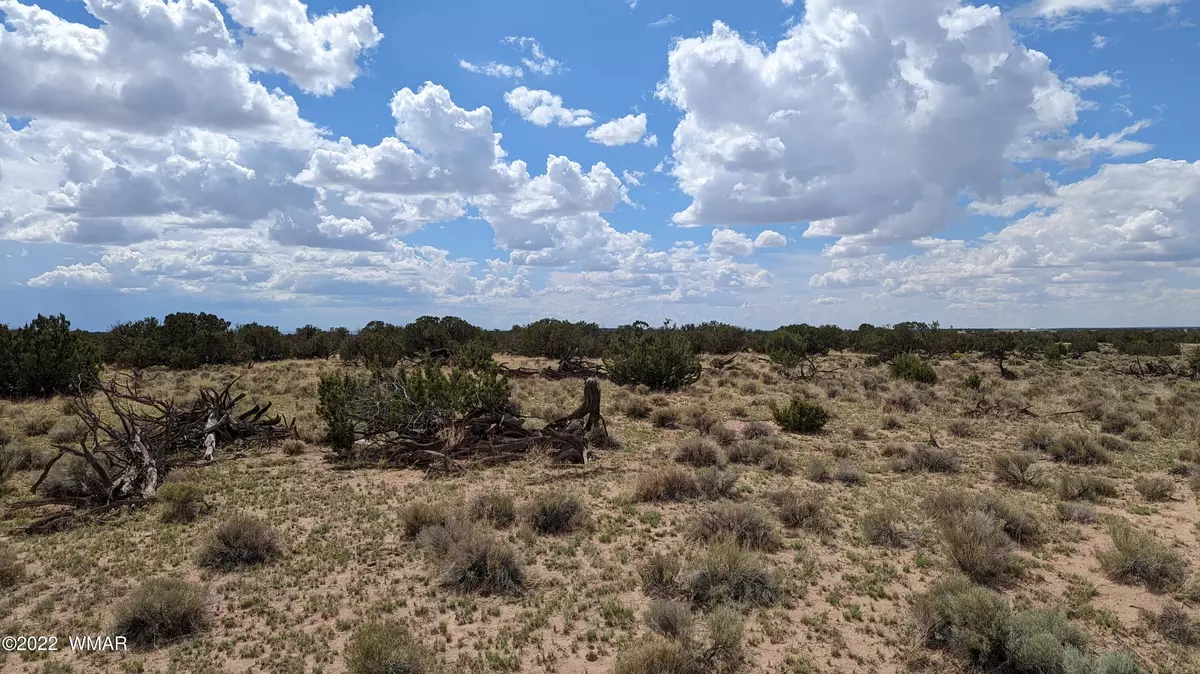 St. Johns, AZ 85936,523 Woodland Valley Ranch