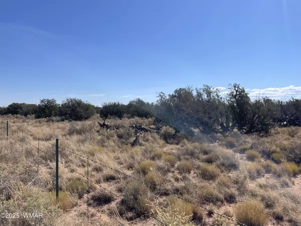 Snowflake, AZ 85937,8561 E Concho Highway