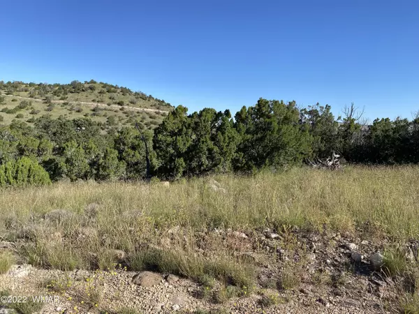 Springerville, AZ 85938,0 N4078