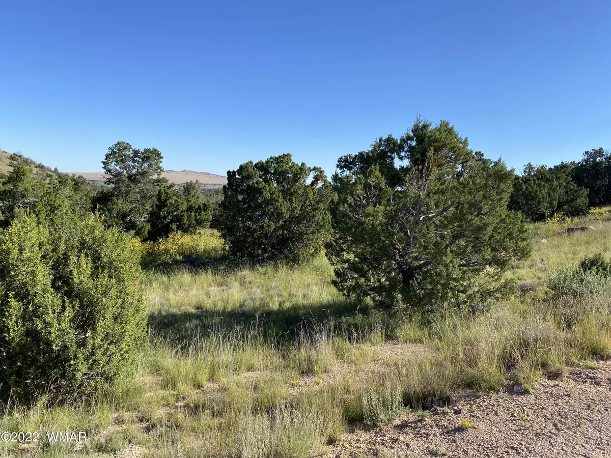 Springerville, AZ 85938,0 N4078