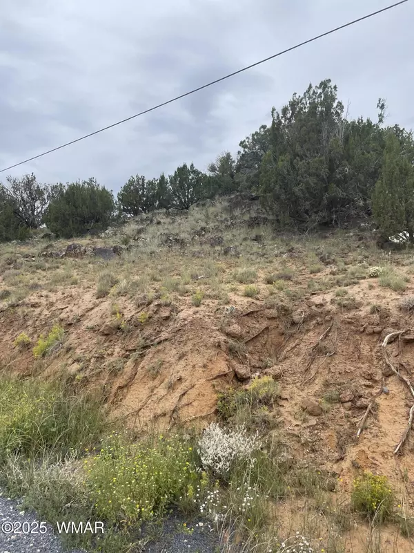 Concho, AZ 85924,43 Charleen Drive