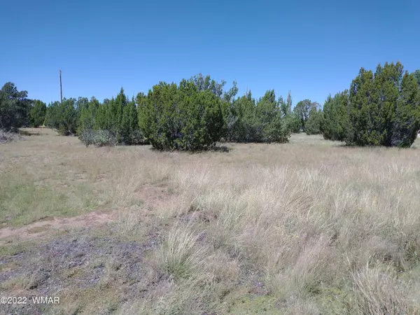 Concho, AZ 85924,61 Spring Drive