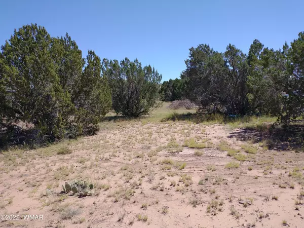 Concho, AZ 85924,61 Spring Drive