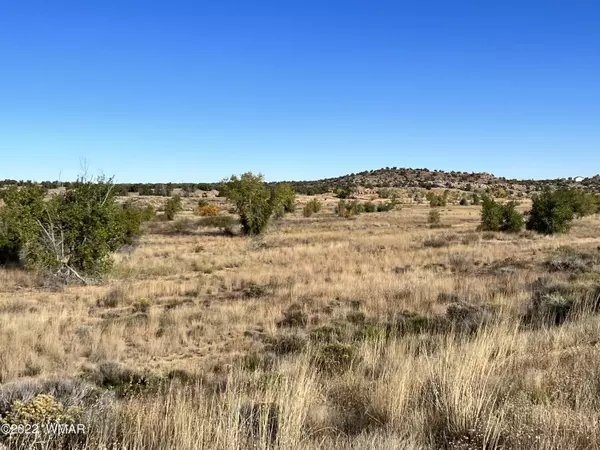 SW Centennial Boulevard,  Snowflake,  AZ 85937