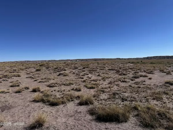 Joseph City, AZ 86032,6 Porter Road