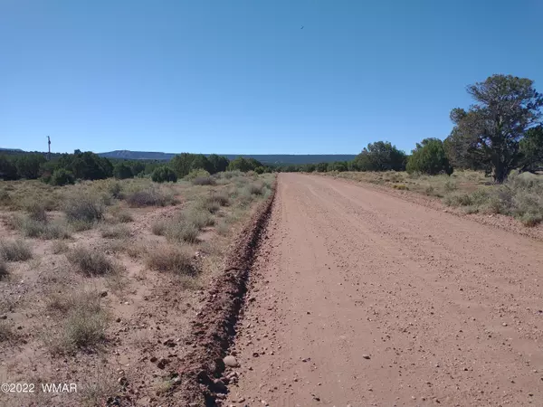 Snowflake, AZ 85937,4265 Mountain View Road