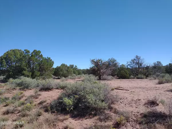 Snowflake, AZ 85937,4247 Indian Bend Road