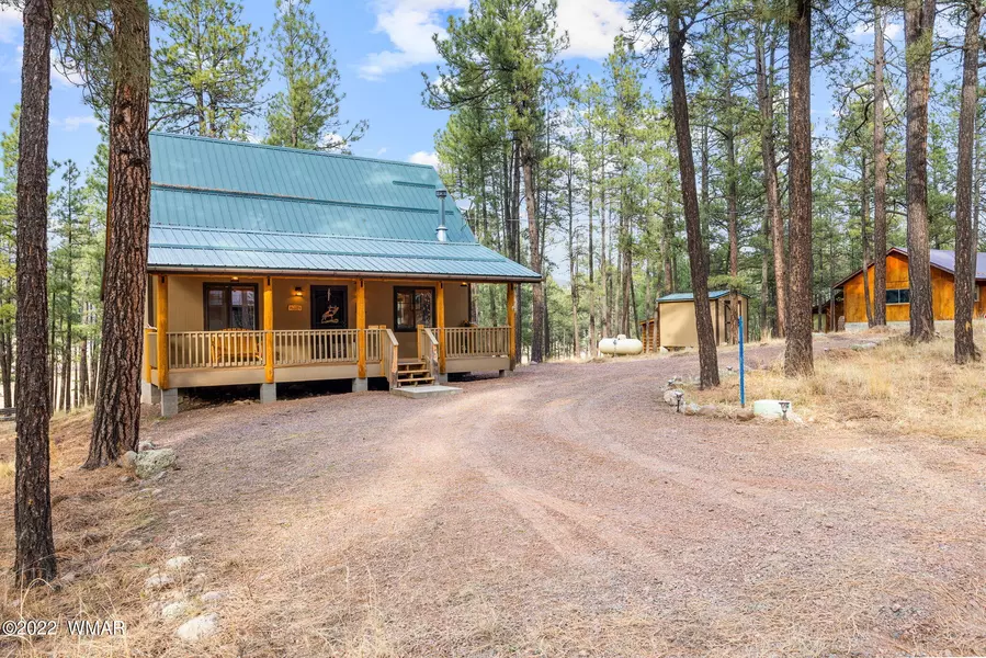 9 Co Rd 2267, Alpine, AZ 85920