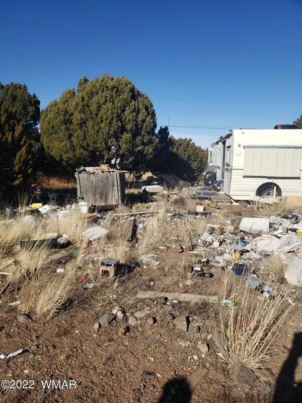Show Low, AZ 85901,8484 Rifle Drive