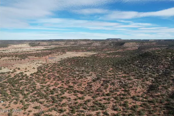 White Mountain Lake, AZ 85912,Yellow Rose Road