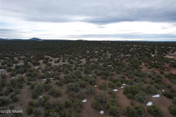 Show Low, AZ 85901,Navajo Dr. 10.69 Acres