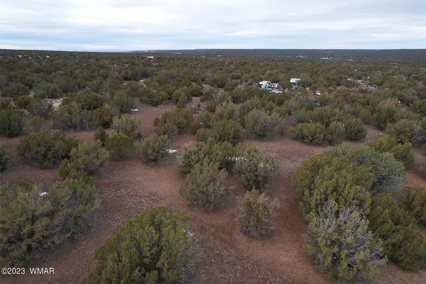 Show Low, AZ 85901,Navajo Dr. 10.69 Acres