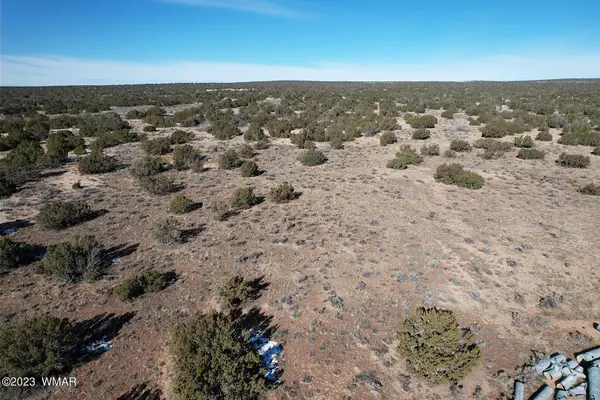 St. Johns, AZ 85936,Ranch Lot 144 50 Acres