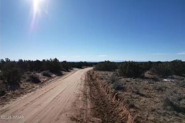 St. Johns, AZ 85936,Ranch Lot 144 50 Acres