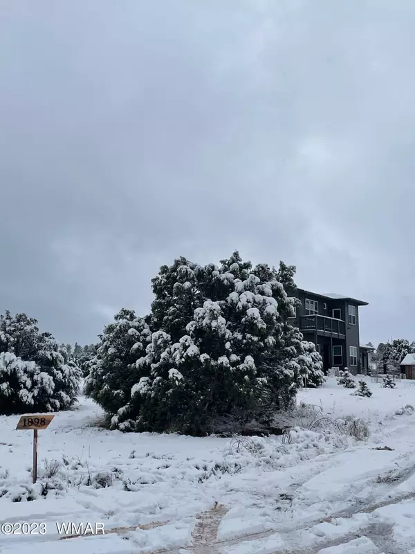 Pinedale, AZ 85934,1898 Rocky Lane