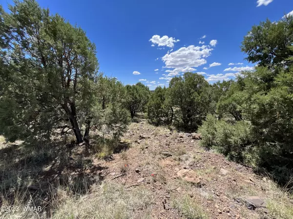 Show Low, AZ 85901,580 S Rock Ridge Drive