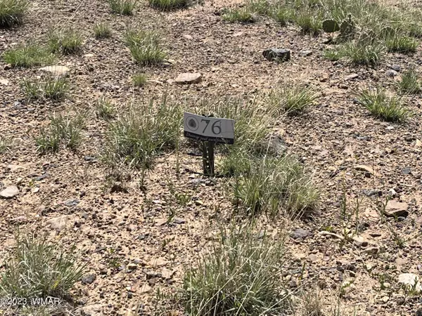 Show Low, AZ 85901,580 S Rock Ridge Drive