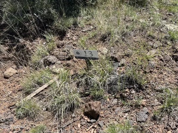 Show Low, AZ 85901,520 S Creekside Drive