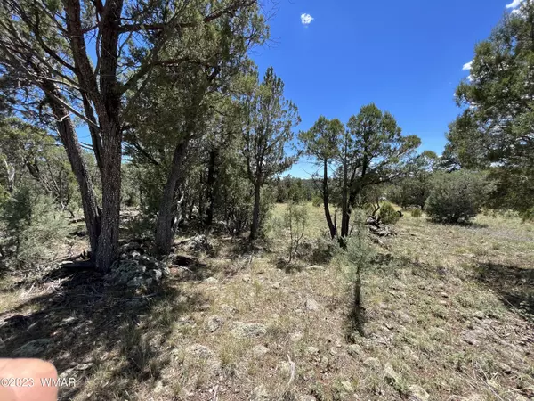 Show Low, AZ 85901,520 S Creekside Drive