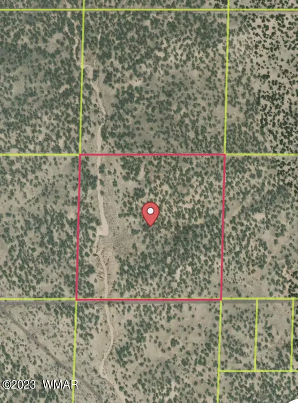 St. Johns, AZ 85936,N7459 40 Acres