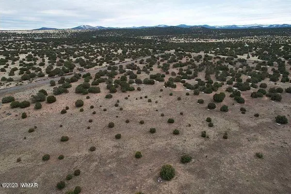 Co Rd N3411 Lot C 9 Acres,  Vernon,  AZ 85940