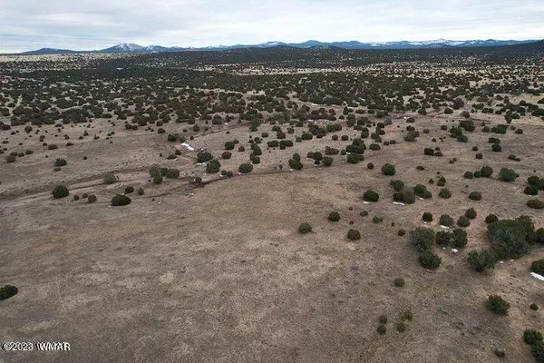 Vernon, AZ 85940,Co Rd N3411 Lot C 9 Acres