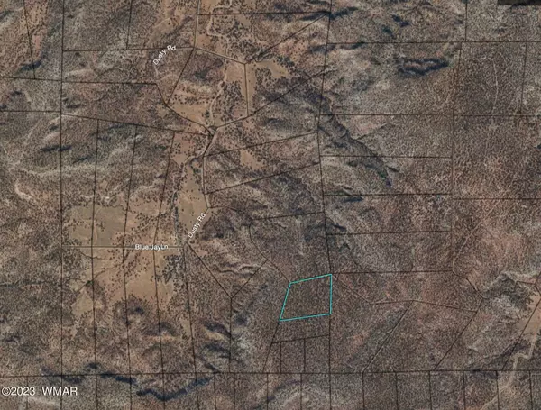 Snowflake, AZ 85937,16 Acres E of Shumway