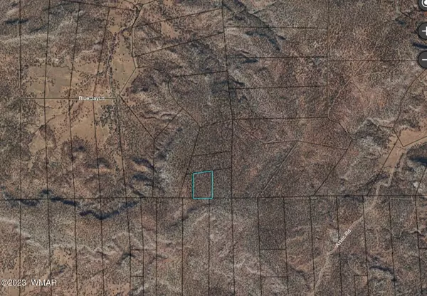 6.28 Acres SE Snowflake, Snowflake, AZ 85937