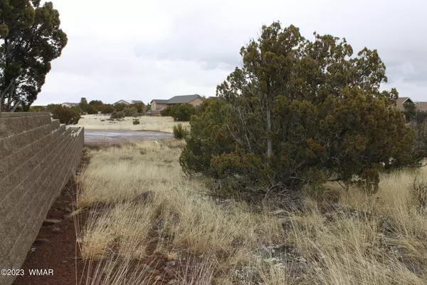 Show Low, AZ 85901,1944 Fishing Place