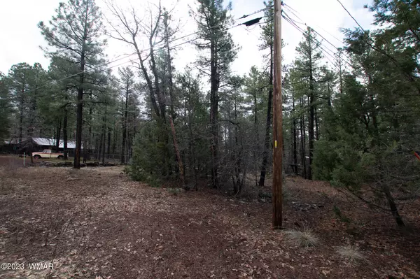 Lakeside, AZ 85929,W Yeager Lane #Lot 33