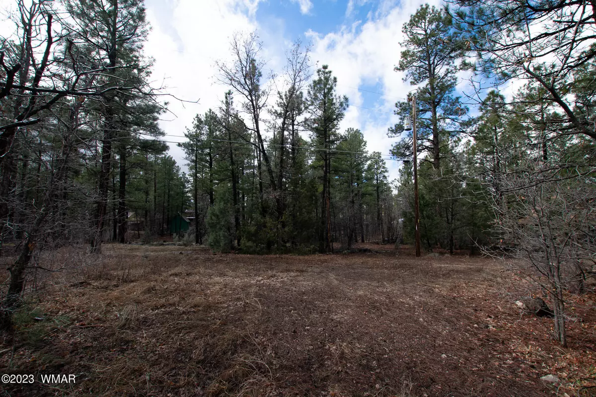 Lakeside, AZ 85929,W Yeager Lane #Lot 33