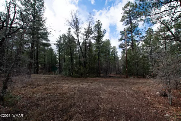 W Yeager Lane #Lot 33, Lakeside, AZ 85929