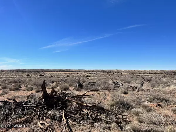 Snowflake, AZ 85937,Churchill Rd (B)