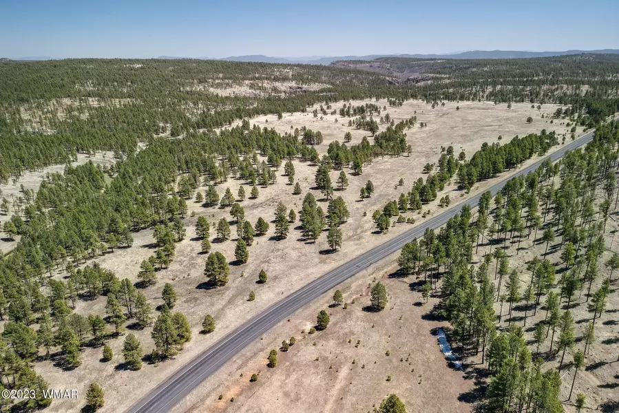 2 US-180, Alpine, AZ 85920