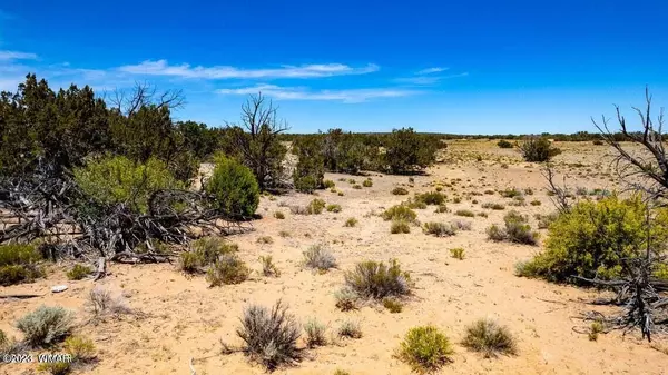 St. Johns, AZ 85936,Ranch Lot 77