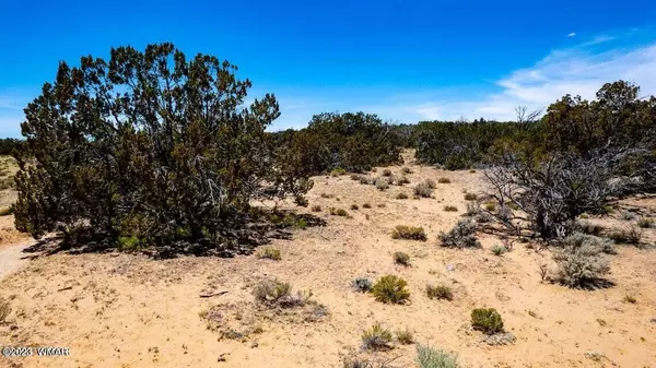 St. Johns, AZ 85936,Ranch Lot 77