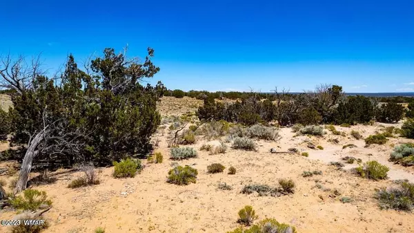 St. Johns, AZ 85936,Ranch Lot 77