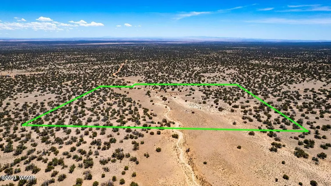 St. Johns, AZ 85936,Ranch Lot 77