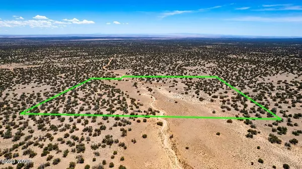 Ranch Lot 77, St. Johns, AZ 85936