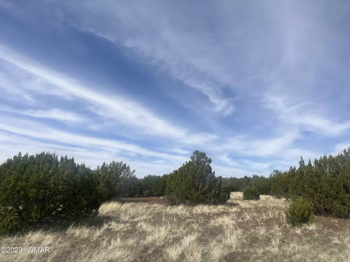 Vernon, AZ 85940,Lot 91 North Fork Ranches