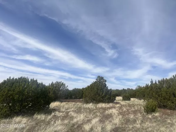 Lot 91 North Fork Ranches, Vernon, AZ 85940