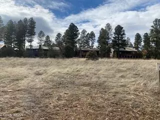 1300 S Lakeside Trail, Show Low, AZ 85901