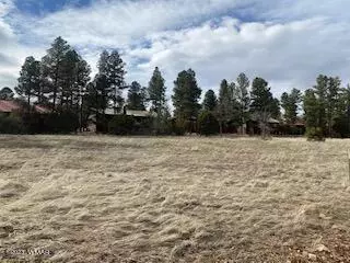 1340 S Lakeside Trail, Show Low, AZ 85901