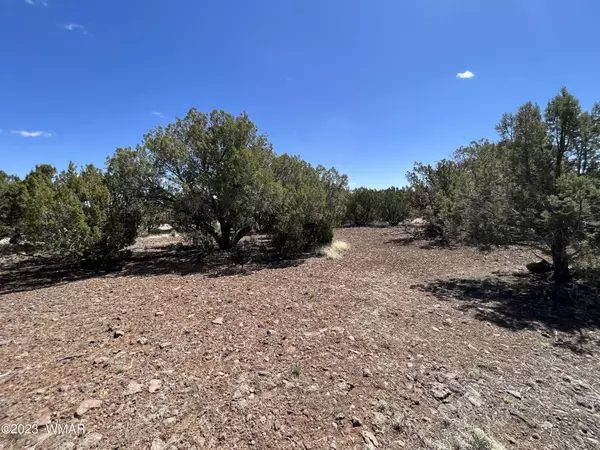 Show Low, AZ 85901,8337 Navajo Drive
