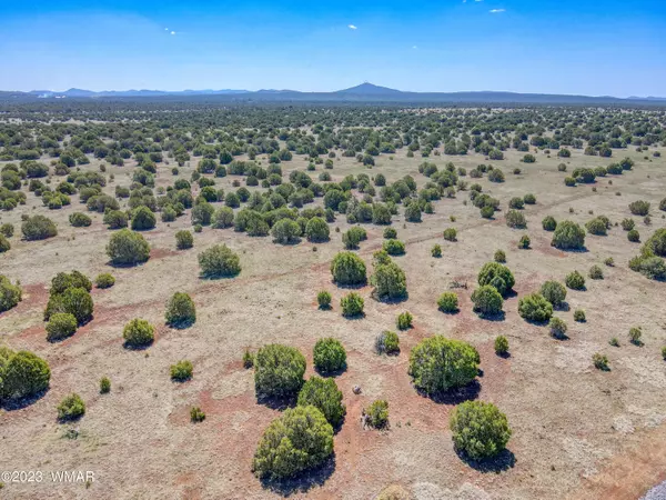 Cooley 11 acres, Show Low, AZ 85901