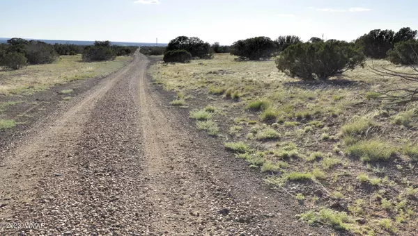 Show Low, AZ 85901,13 Wagon Ln