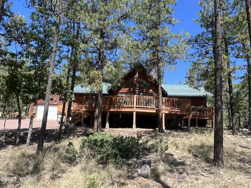 17 County Road 2067, Alpine, AZ 85920